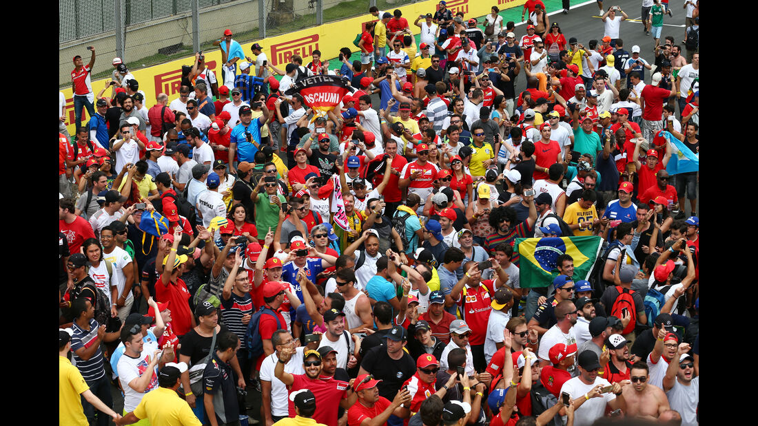 Fans - Formel 1 - GP Brasilien- 15. November 2015