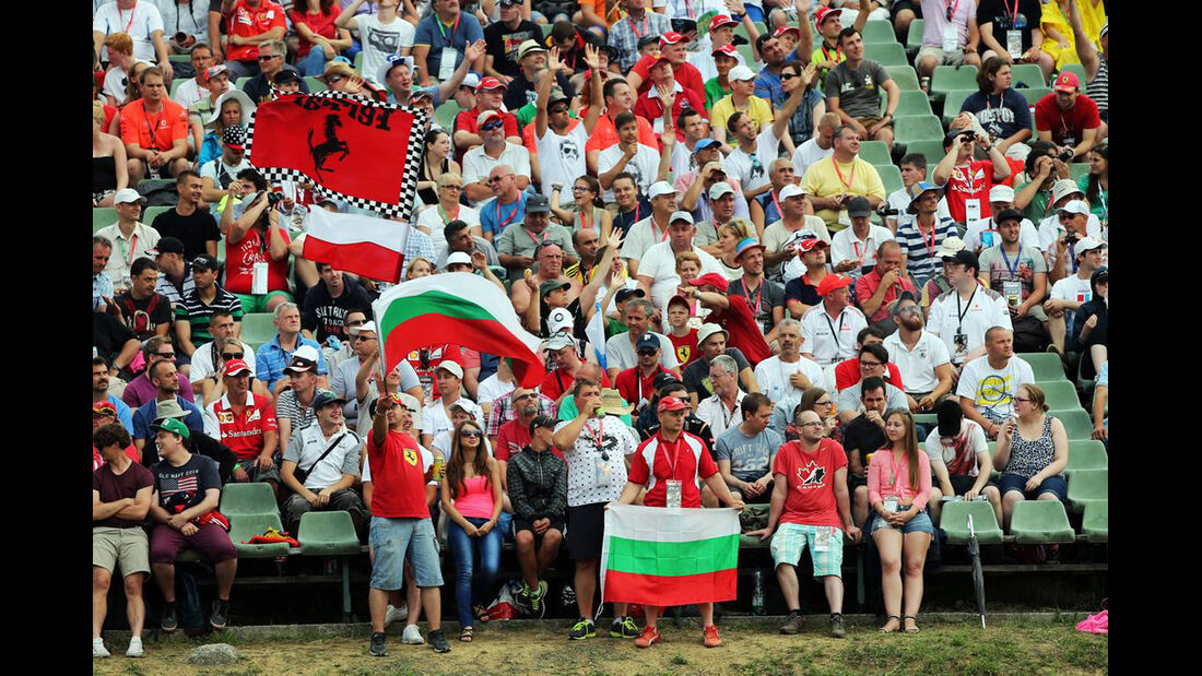 Fans - Formel 1 - GP Ungarn - 27. Juli 2014