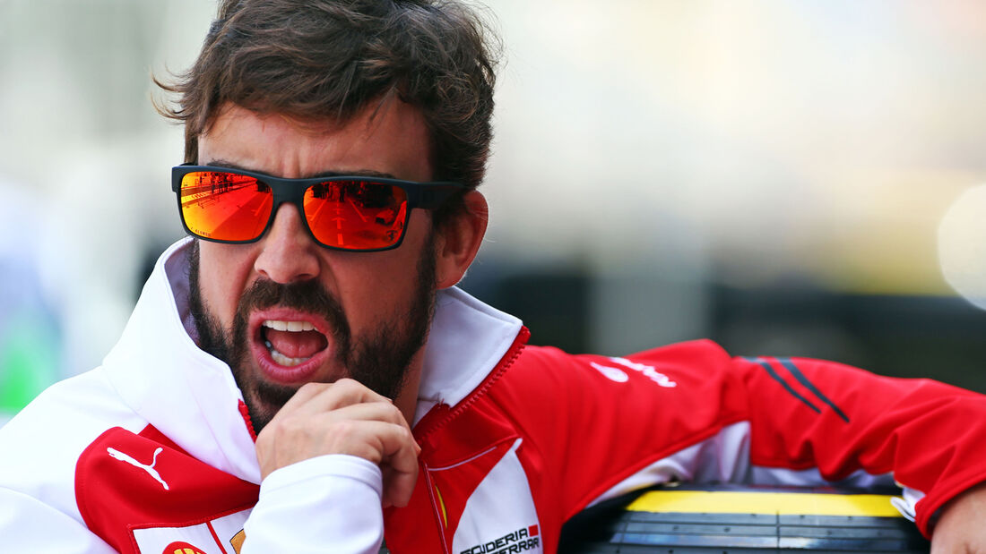 Fernando Alonso - Ferrari - Formel 1 - GP Brasilien - 6. November 2014