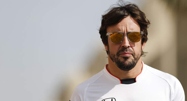 Fernando Alonso - GP Abu Dhabi 2016