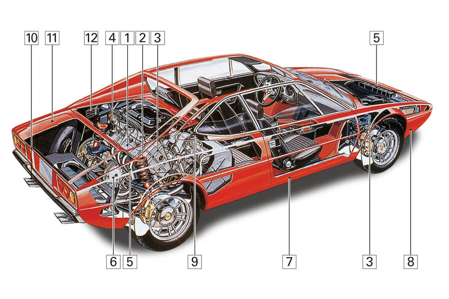 Ferrari 308 GT4, Schwachpunkte, Igelbild