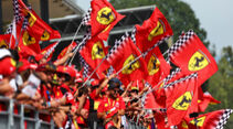 Ferrari-Fans - Formel 1 - GP Italien 2023