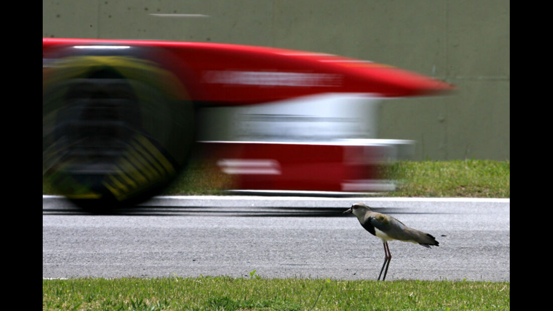 Ferrari - GP Brasilien - 26. November 2011