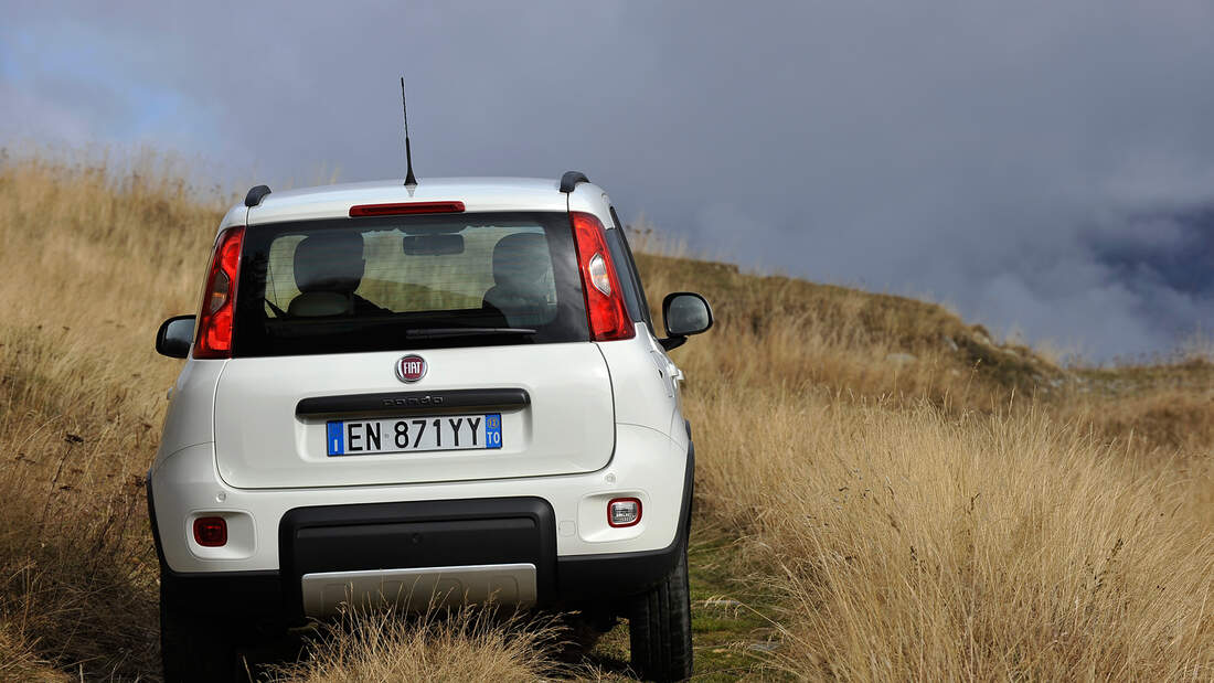 Fiat Panda 4x4 Im Fahrbericht Unverw 252 Stlich Und Kompromissfrei Auto