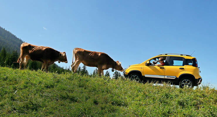 Fiat Panda Cross, Almabtrieb, Impression