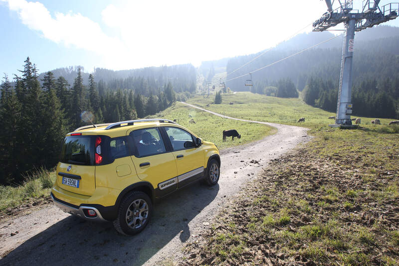 Fiat Panda Cross, Almabtrieb, Impression