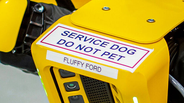 Fluffy Roborterhund Ford Boston Dynamics