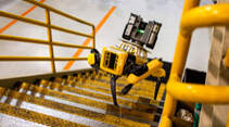 Fluffy Roborterhund Ford Boston Dynamics