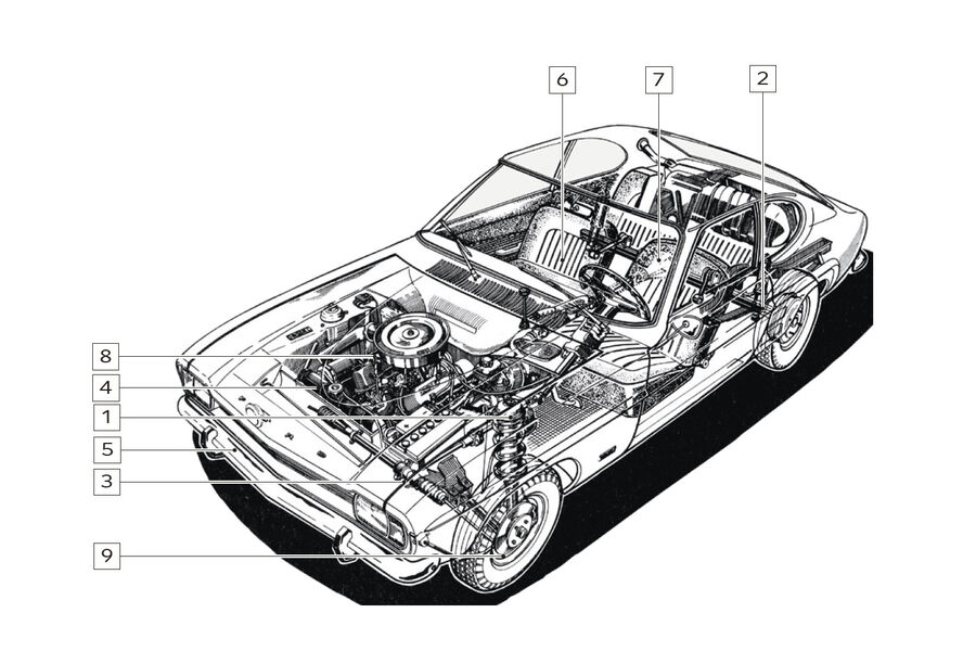 Ford Capri Perana, Igelbild, Schwachstellen