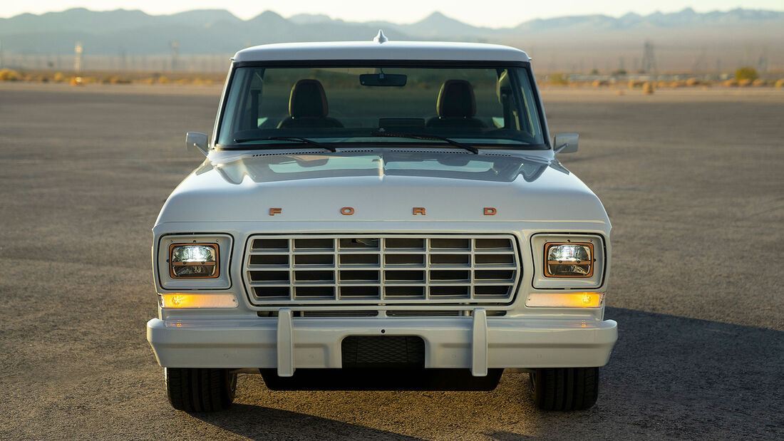 Ford F-100 Eluminator