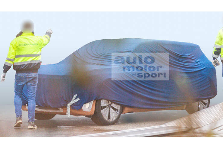 www.auto-motor-und-sport.de