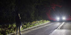 Ford Lichtsystem, Spotlicht, Früherkennung