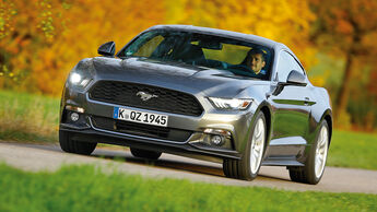 Ford Mustang 2.3 Ecoboost Fastback, Frontansicht