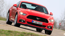 Ford Mustang GT 5.0 Fastback, Frontansicht