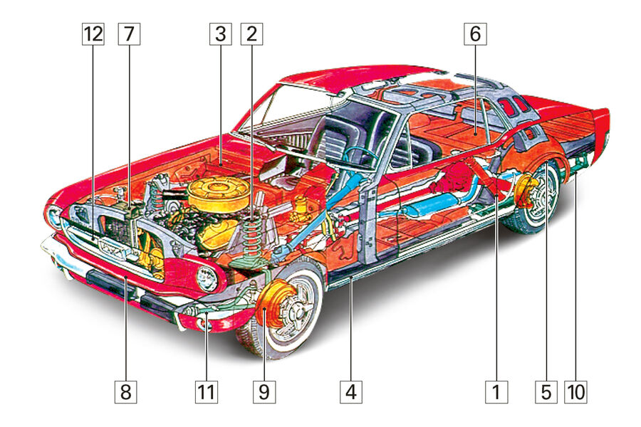 Ford Mustang I, Schwachstellen, Igelbild