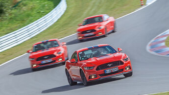 Ford Performance Days, Biester Berg, Fahrertraining