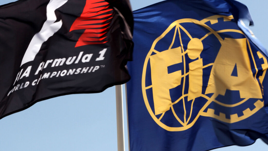 Formel 1 & FIA-Flagge - GP Abu Dhabi - 10. November 2011