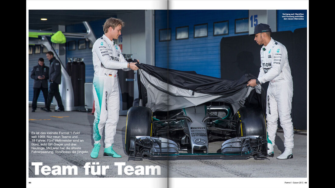 Formel 1 - Saison 2015 - F1 - Michael Schmidt