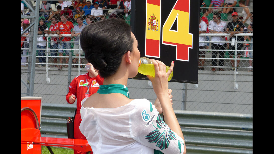Formel 1-Tagebuch - GP Malaysia 2014