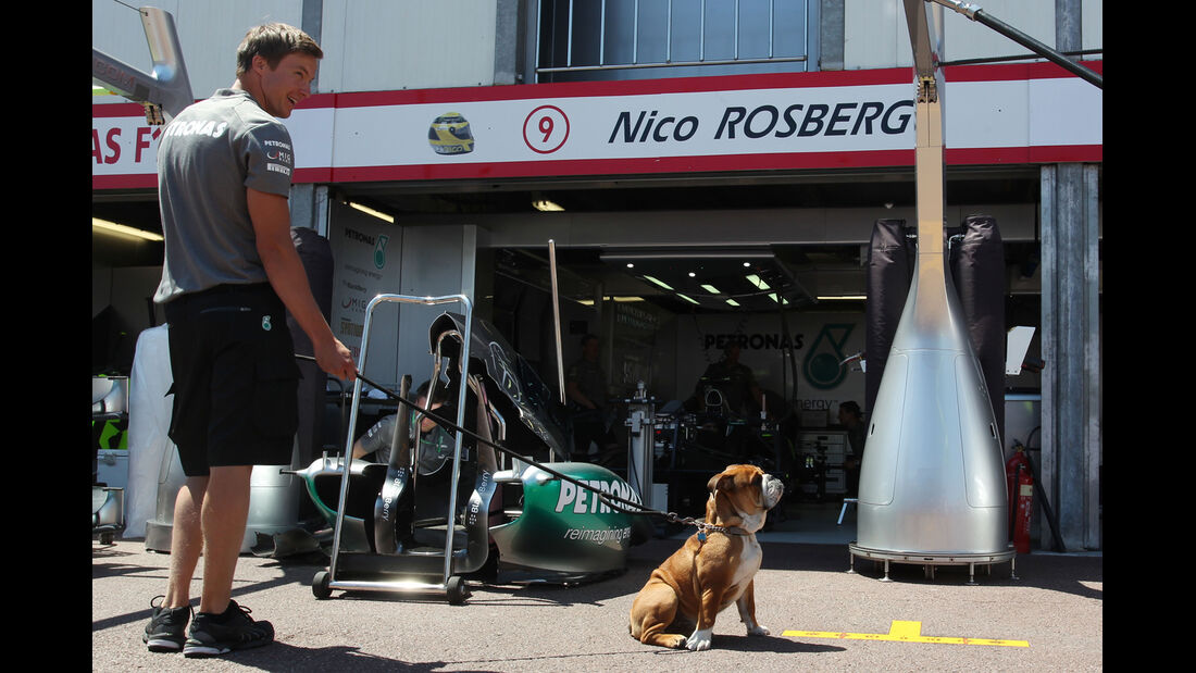 Hamiltons Hund Roscoe - Formel 1 - GP Monaco - 22. Mai 2013