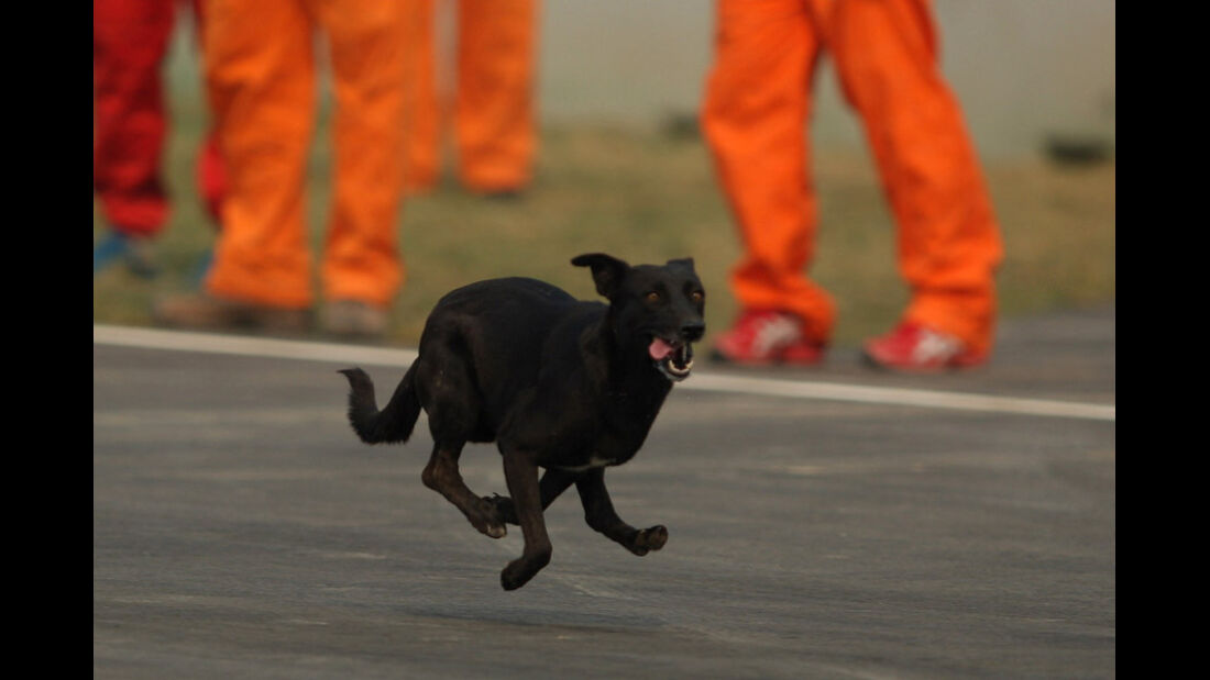 Hund - GP Indien - Training - 28.10.2011