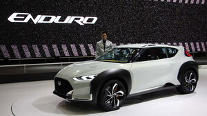 Hyundai Enduro CUV Concept