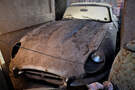 Jaguar E-Type Scheunenfund