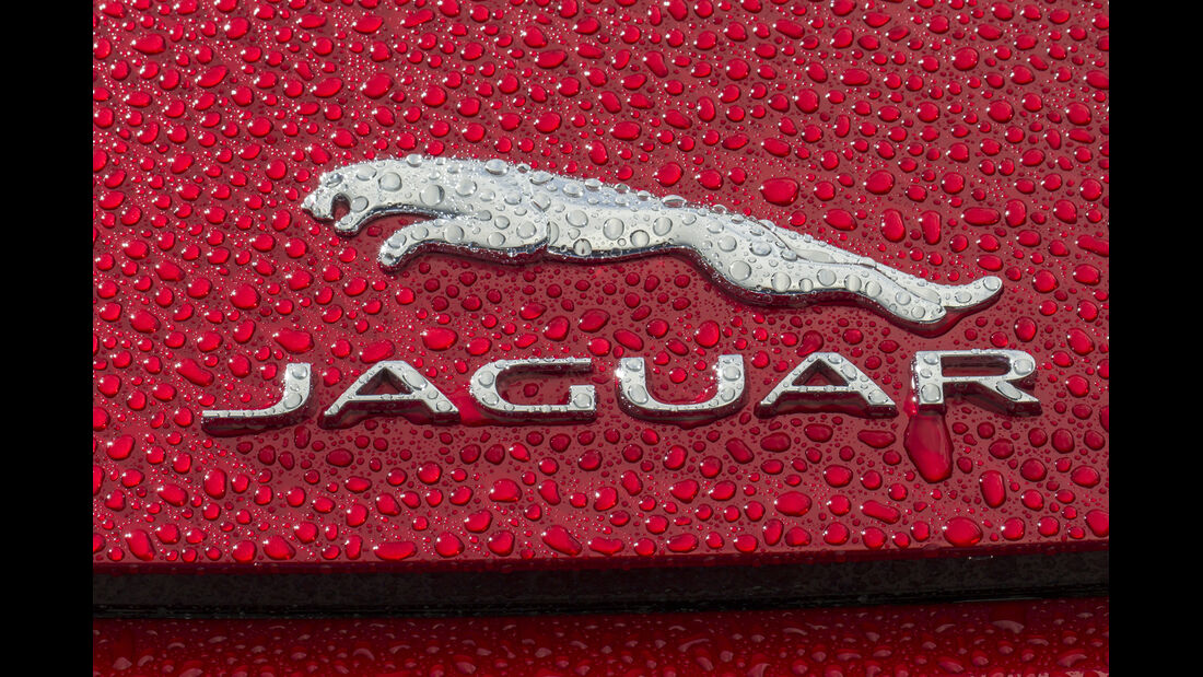 Jaguar F-Type 4x4, ams2015, Logo