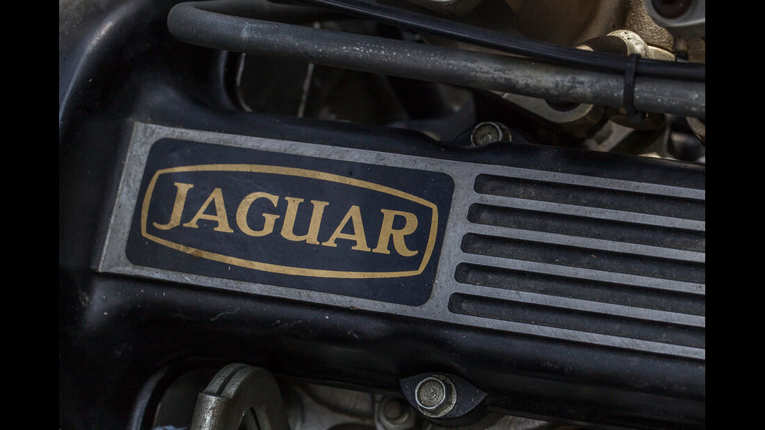 Jaguar XJ 13, Motor