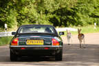 Jaguar XJ SC, Heckansicht