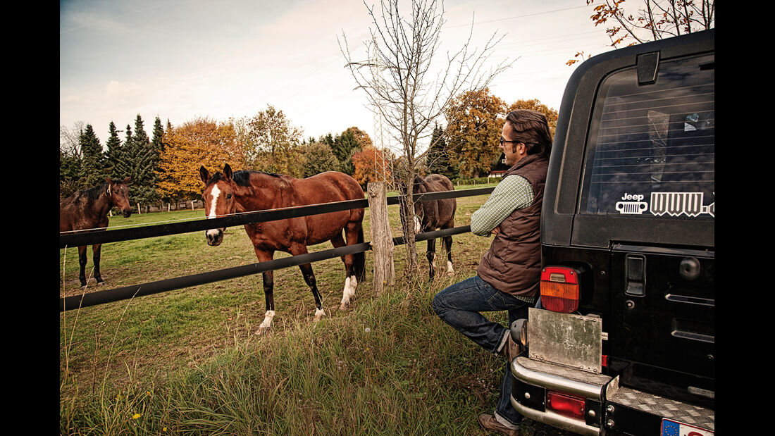 Jeep Wrangler, Pferde