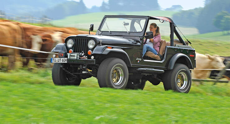 Jeep Wrangler, Seitenansicht