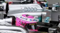 Jenson Button - Lewis Hamilton - Formel 1 - GP Brasilien - 8. November 2014