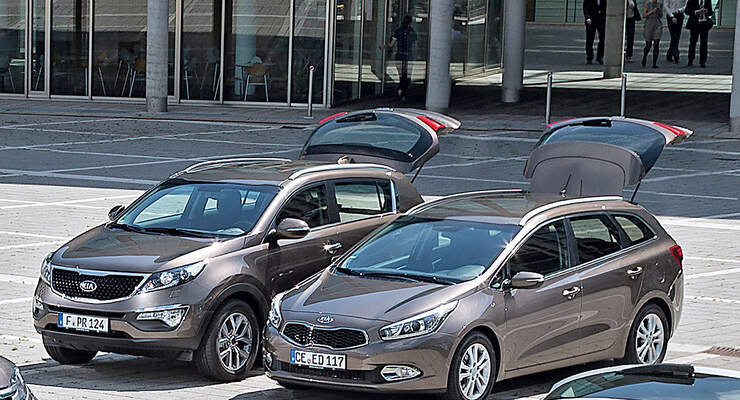 Kia Ceed und Kia Sportage Kaufberatung