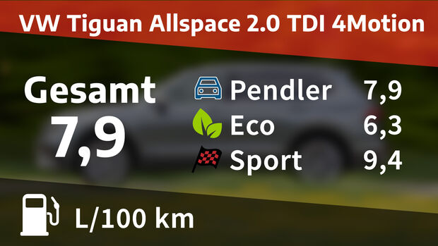 Kosten Realverbrauch VW Tiguan Allspace 2.0 TDI 4Motion Elegance