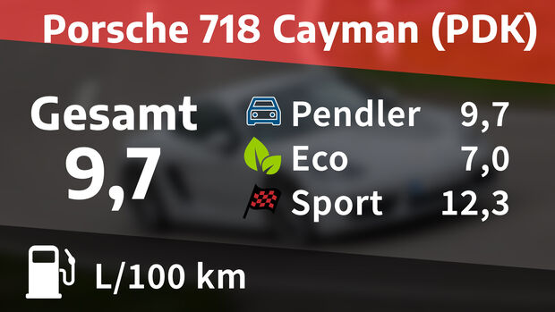 Kosten und Realverbrauch: Porsche 917 Cayman (PDK) 