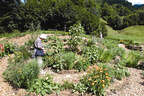 Kräutergarten im „Holdamoos