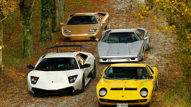 Lamborghini V12, alle Fahrzeuge, Frontansicht, Park, von oben