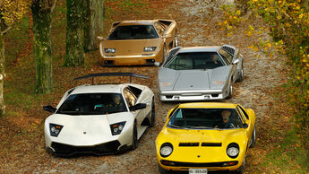 Lamborghini V12, alle Fahrzeuge, Frontansicht, Park, von oben