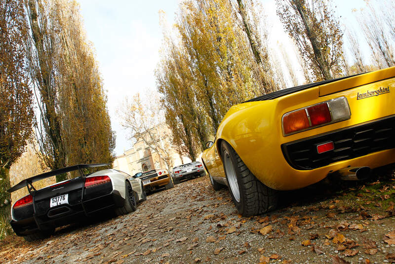 Lamborghini V12, alle Fahrzeuge, Rückansicht