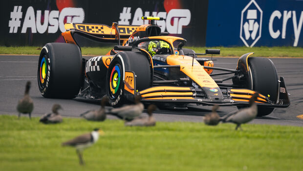 Lando Norris - Formel 1 - GP Australien 2024