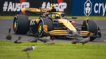 Lando Norris - Formel 1 - GP Australien 2024