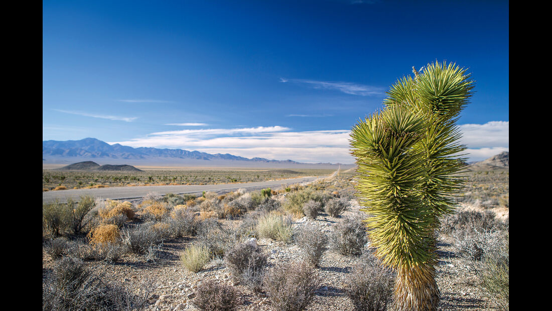 Landschaft, USA, Nevada