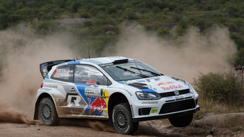 Latvala - Rallye Argentinien 2014 - WRC