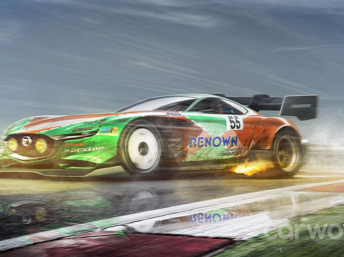 Le Mans-Zukunft: Wir wollen diese GTE-Renner sehen! - auto motor und sport