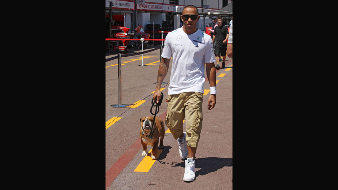 Lewis Hamilton mit Hund Roscoe - Formel 1 - GP Monaco - 22. Mai 2013