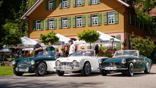 MG Midget, Triumph TR4, Austin-Healey 3000, Frontansicht