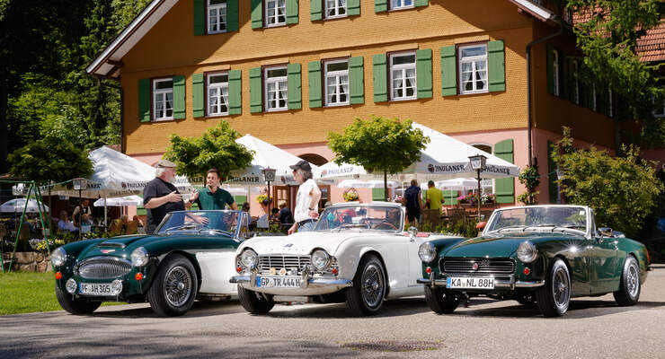 MG Midget, Triumph TR4, Austin-Healey 3000, Frontansicht