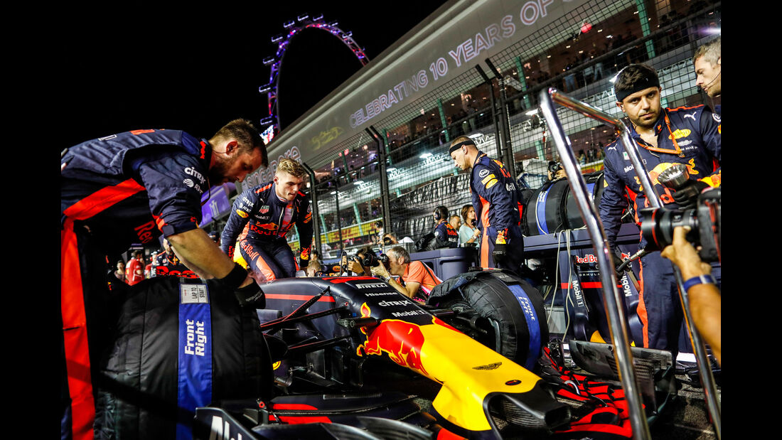 Max Verstappen - Red Bull - Formel 1