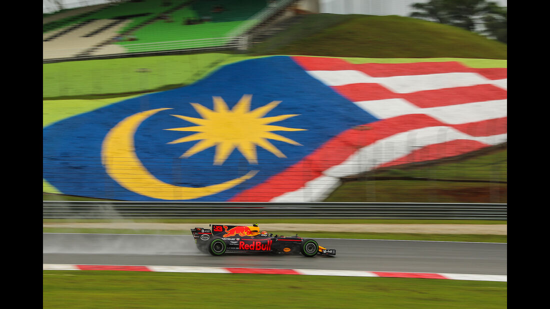 Max Verstappen - Red Bull - GP Malaysia - Sepang - 29. Oktober 2017